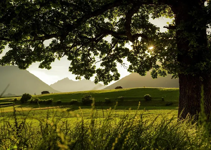 Haus Miriam 民宿 米耶明